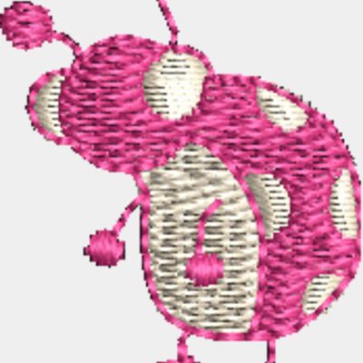 CI491 Thumbnail